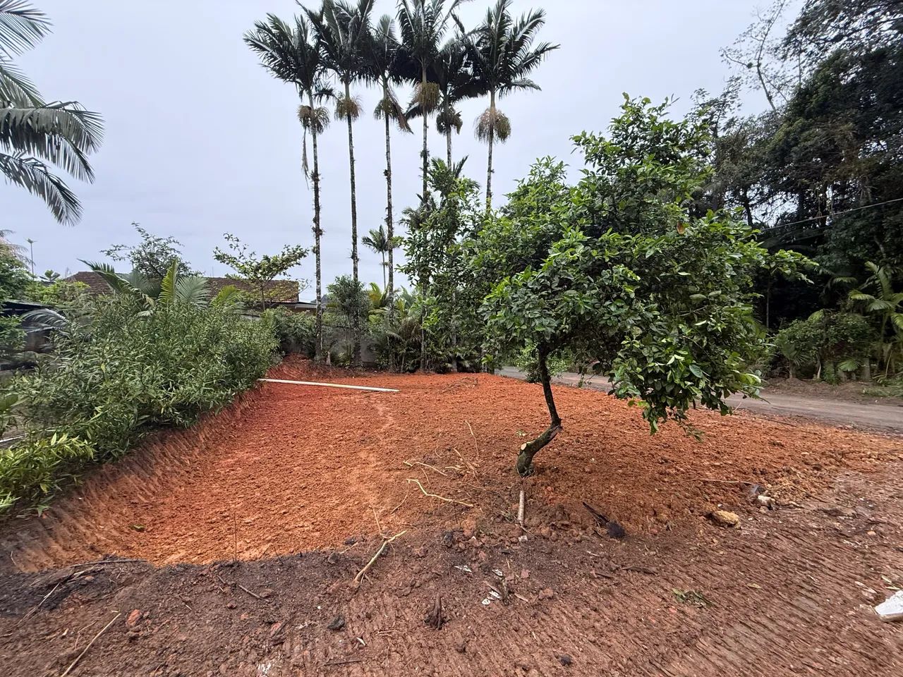 TERRENO À VENDA EM SCHROEDER/SC - Foto 3
