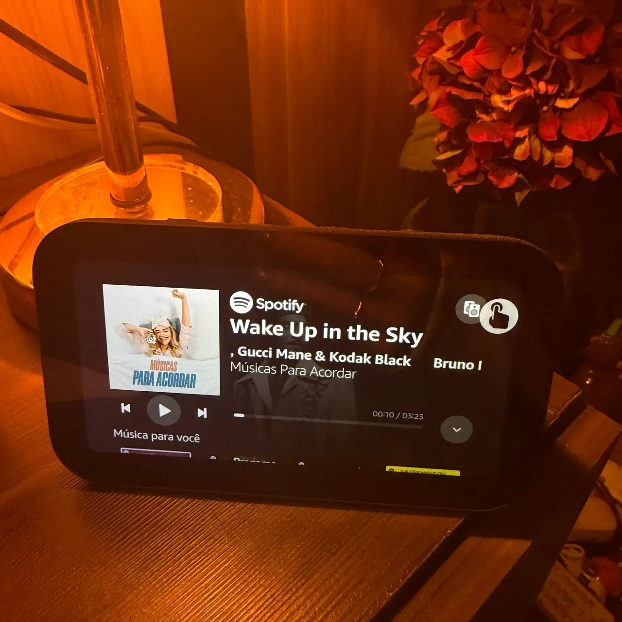 Alexa echo dot show 5