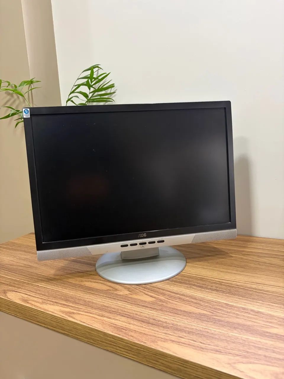 Monitor AOC 19 polegadas 