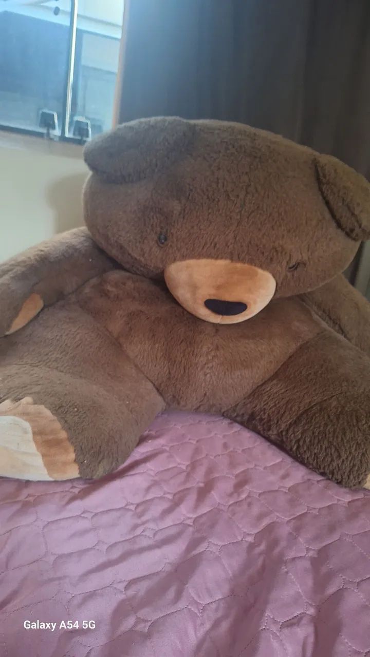 Urso grande