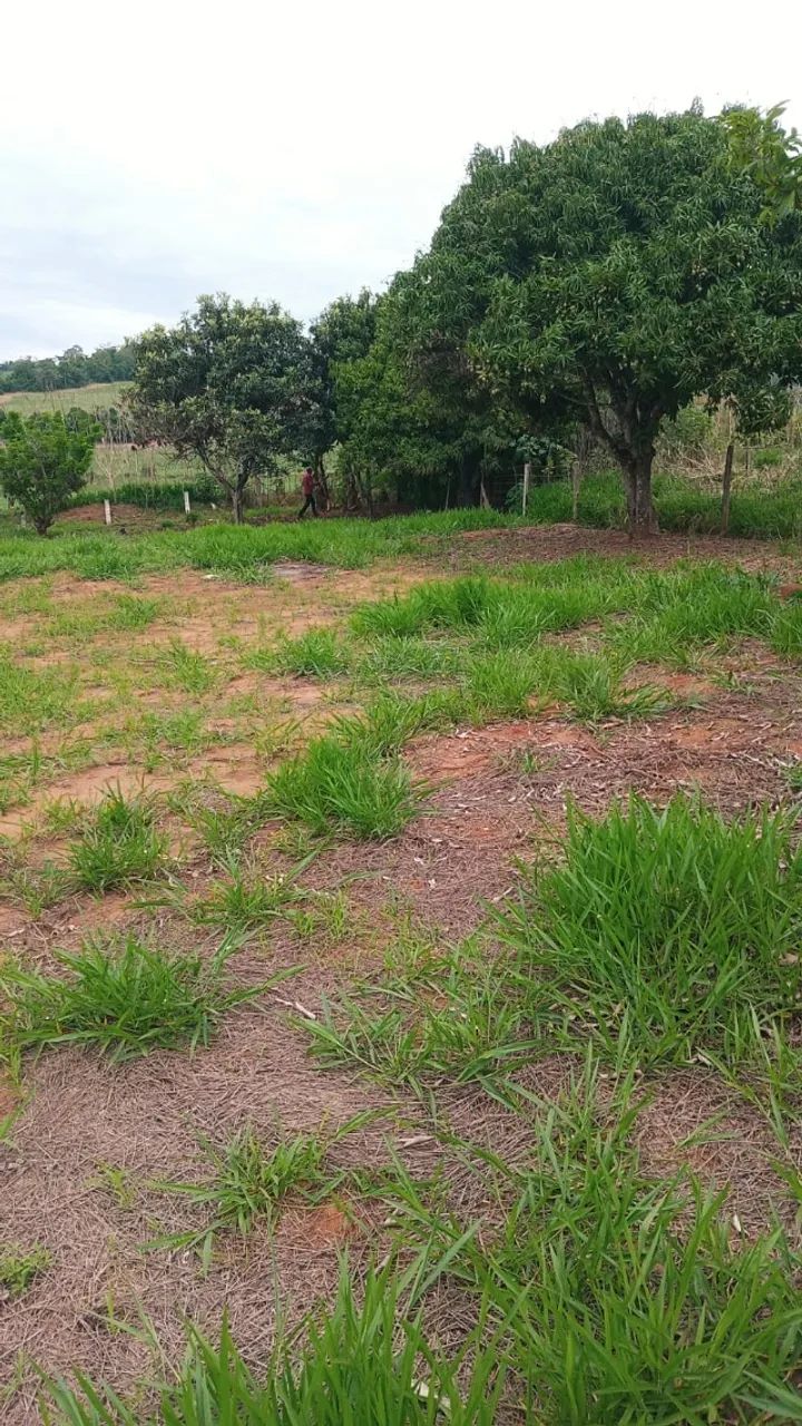 Chácara em Capela do Alto 1100m2 - Foto 5