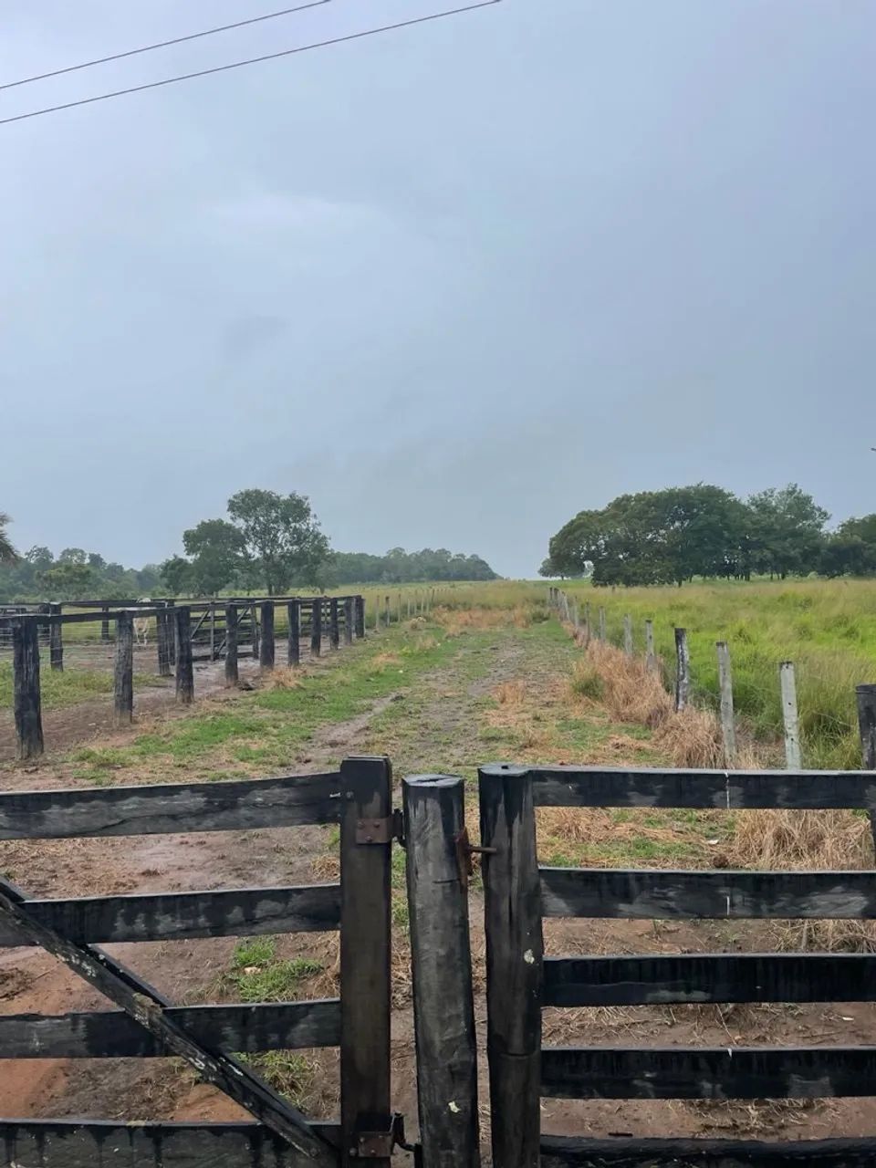 Fazenda Nova crixás-goias  - Foto 2