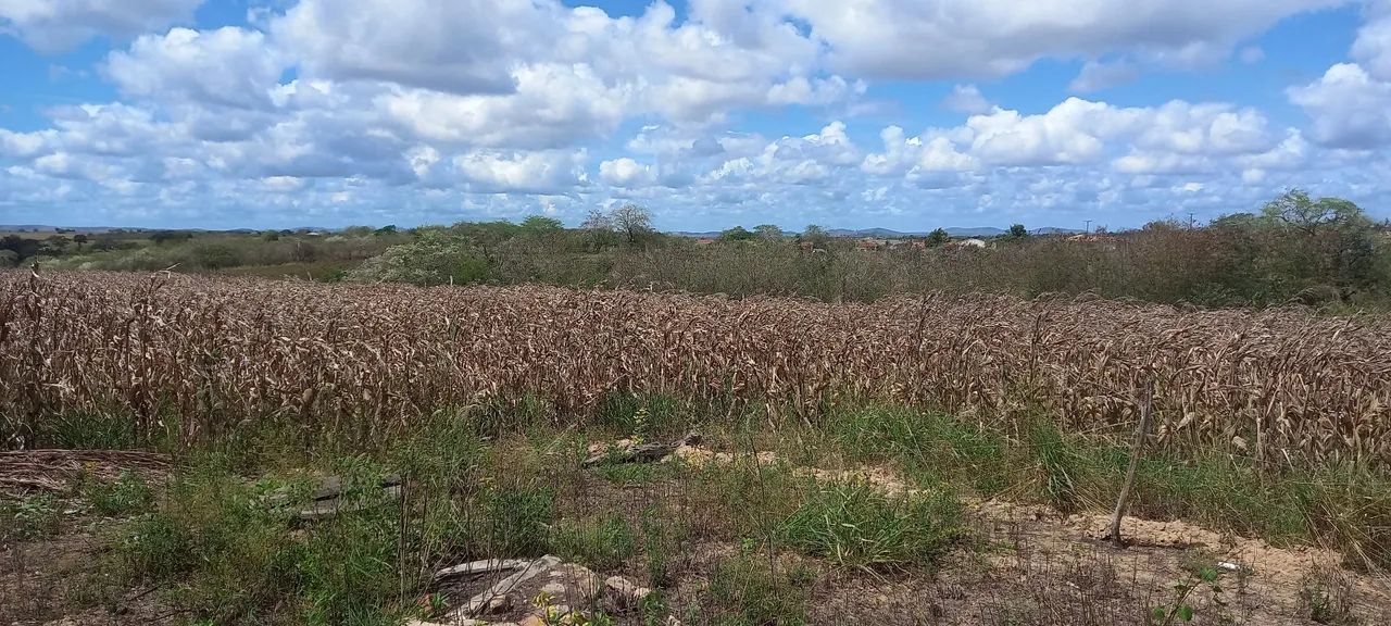 Chácara, Povoado Lagoa dos Porcos. - Foto 4