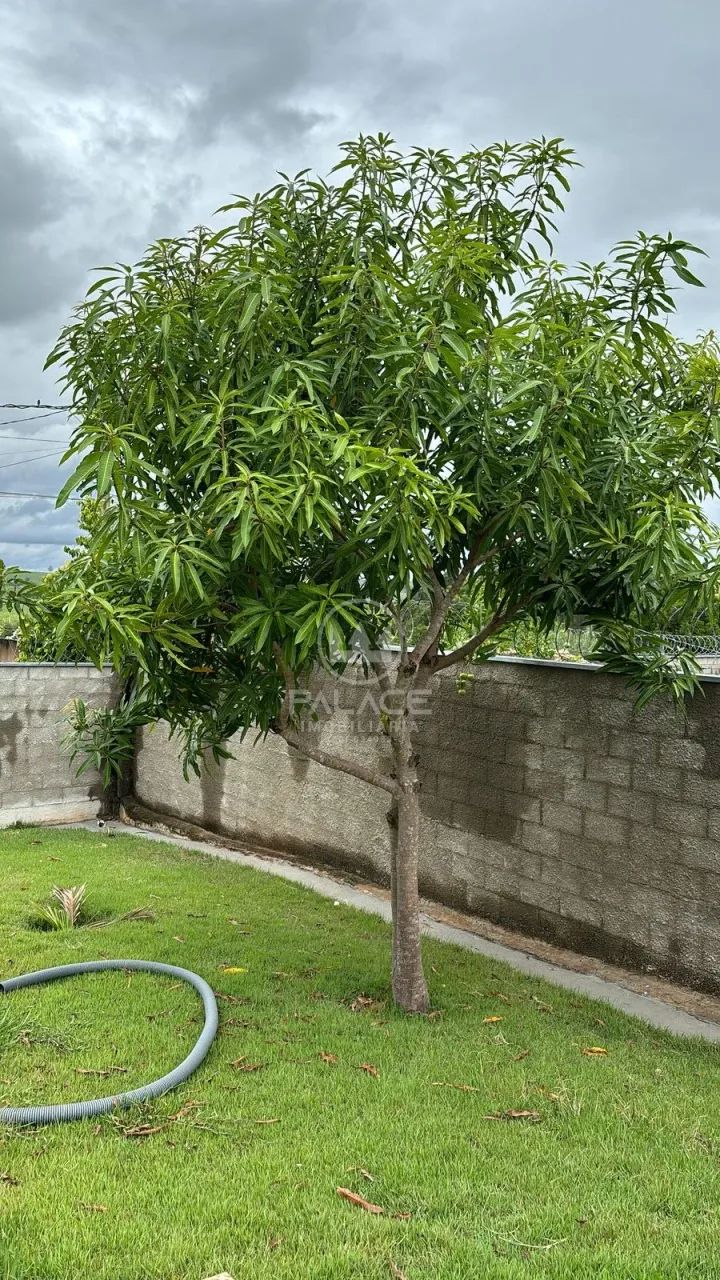 Fazenda/Sítios/Chácaras À Venda Serrote Piracicaba - Foto 4