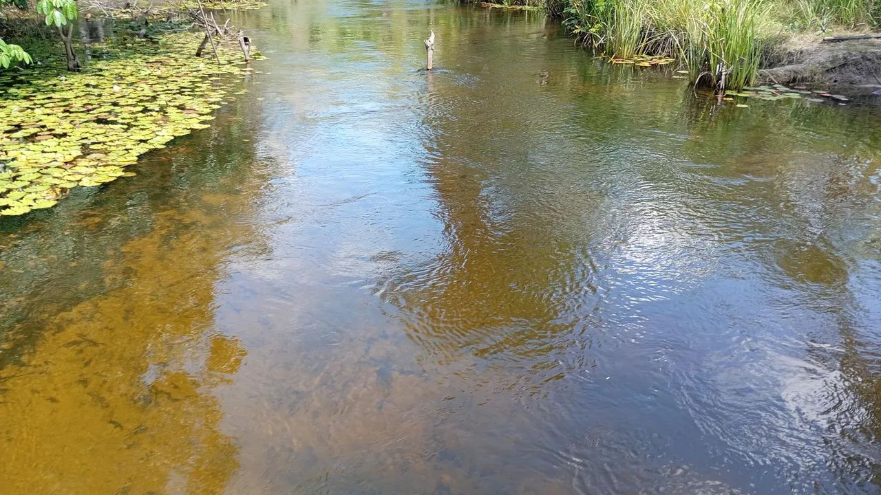 Terreno  - Foto 2