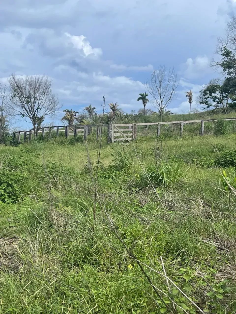 Fazenda em Uruaçu - Foto 5