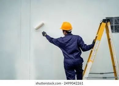 Pintura externa