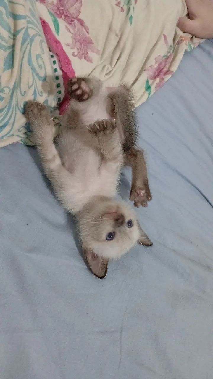 Doação 