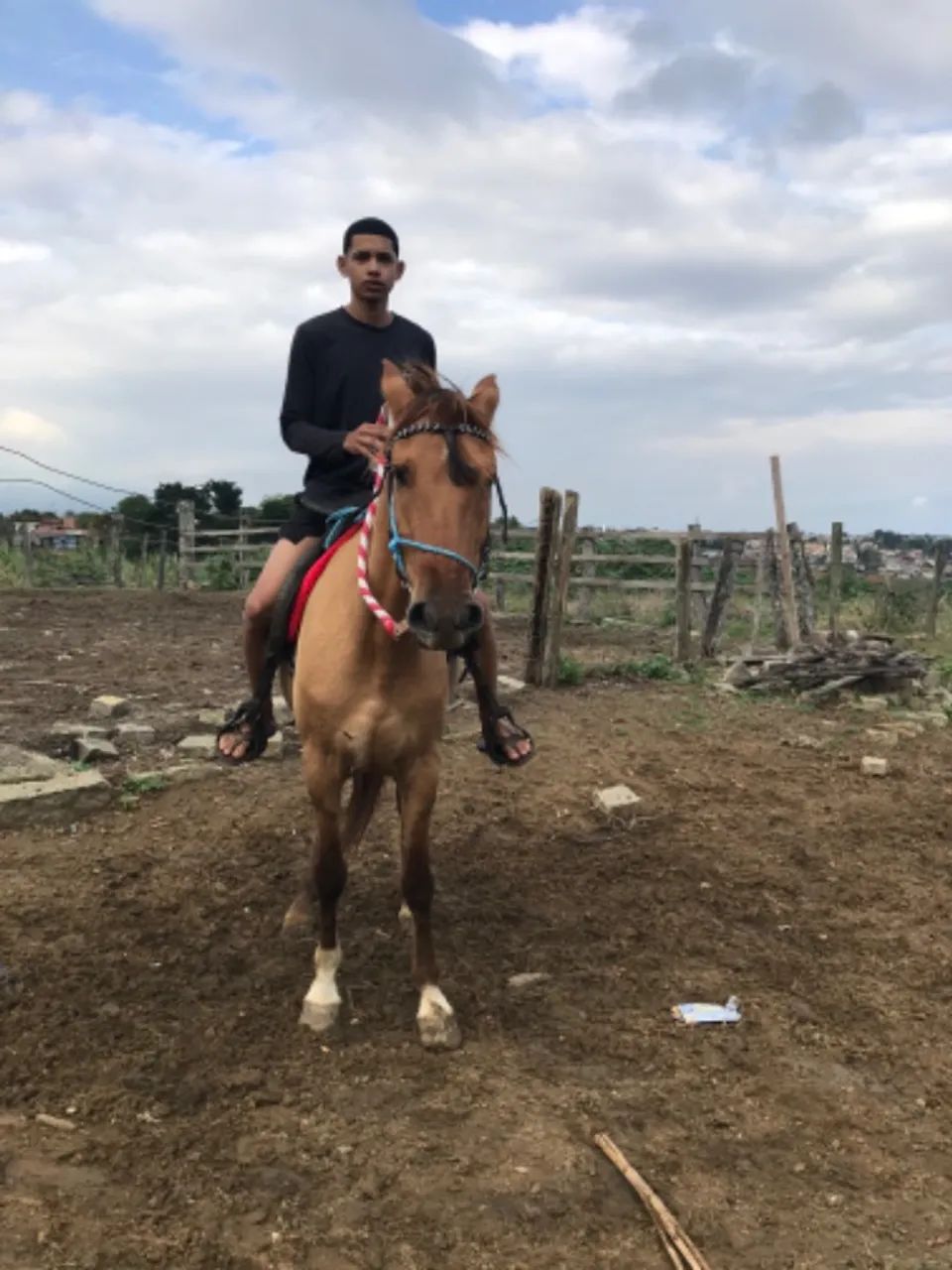Vendo égua baía marcha picada mangalarga  - Foto 6