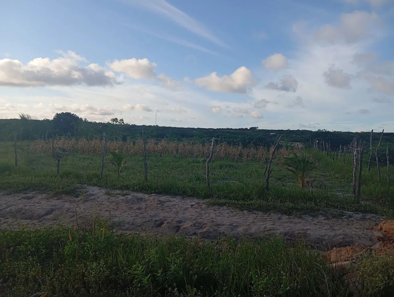 Terreno em extremoz  - Foto 4