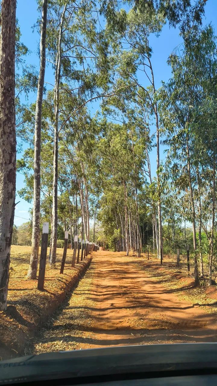 Chácara quitada Caturaí .1.540 mts - Foto 4