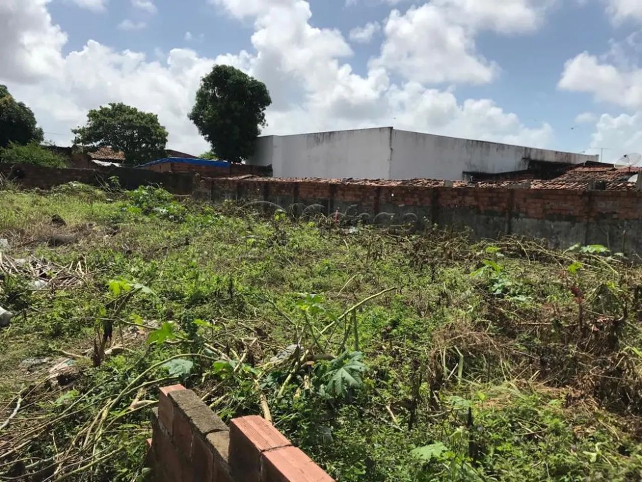 Terreno em rua pública, no Bairro América. (Vizinho a empresa Limpa fossa Moderna) - Foto 13