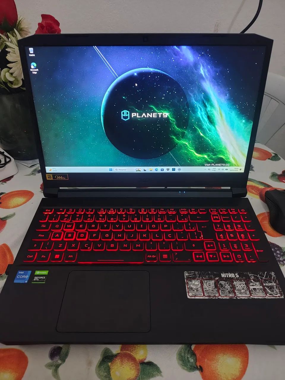 Acer Nitro 5