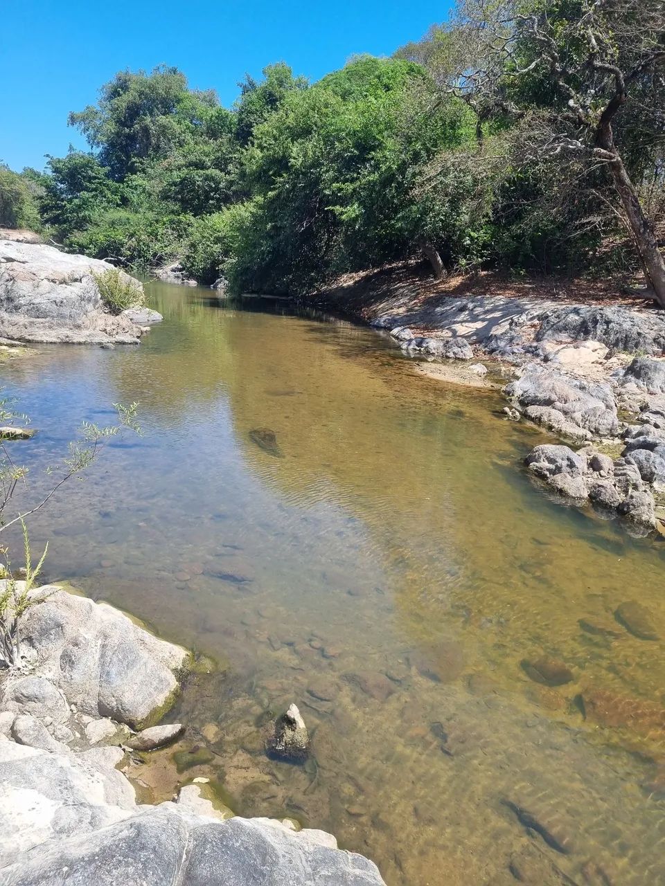 FAZENDA 5.372 HECTARES BAIXO PRA VENDER  - Foto 11