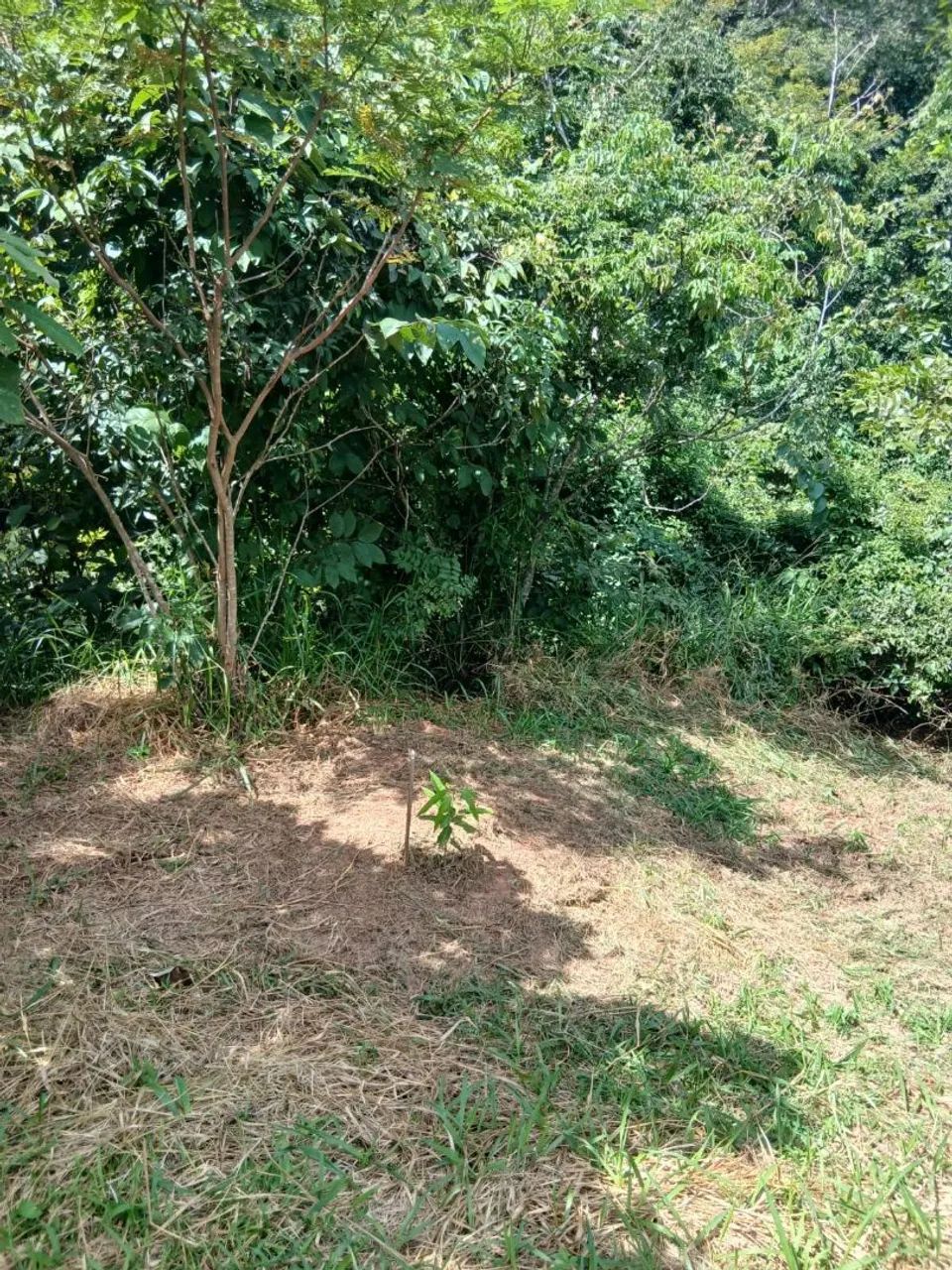 Terreno em Jaboticatubas - Foto 4
