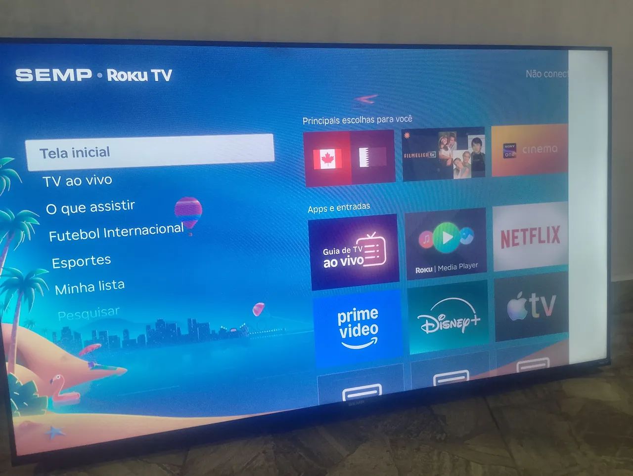 Roku tv