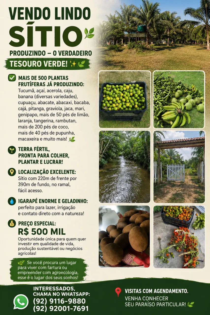 sítio no ramal +500 plantas frutíferas  - Foto 2
