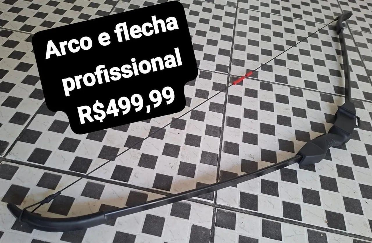 Arco e flecha profissional