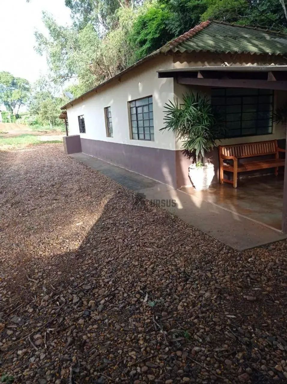 Fazenda Café à venda - Foto 3