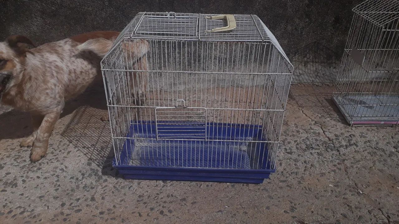 Vendo gaiolas  - Foto 4