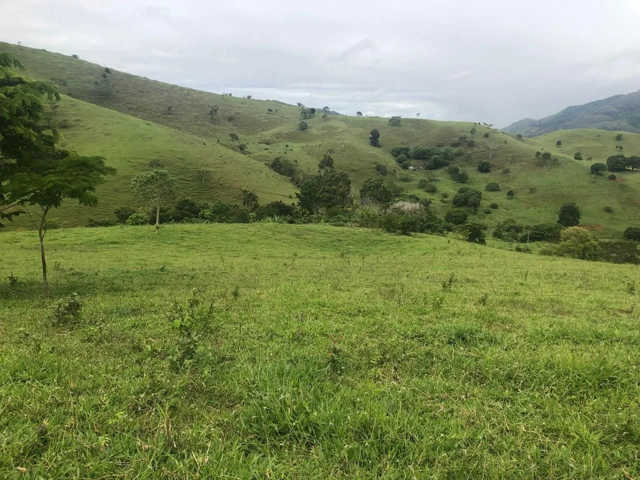 Terra a Venda em Itarantim 