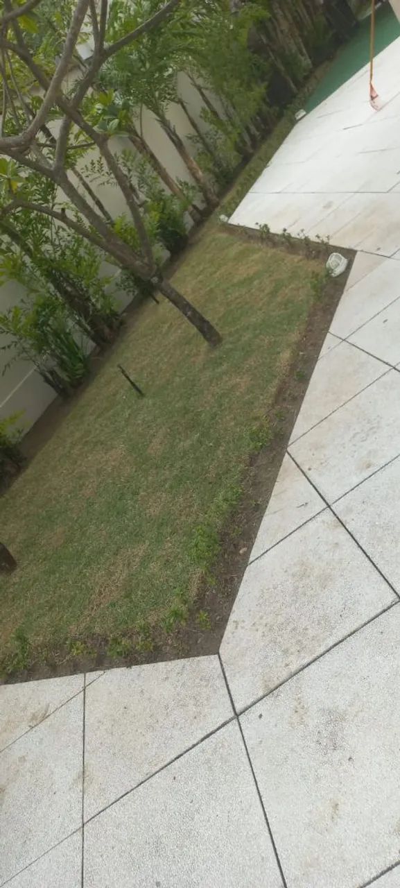 Jardineiro  - Foto 3