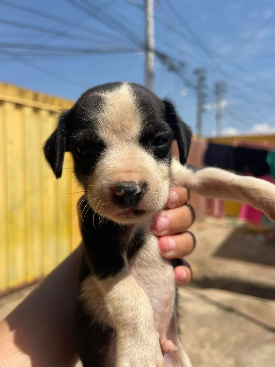 Doação - Foto 2