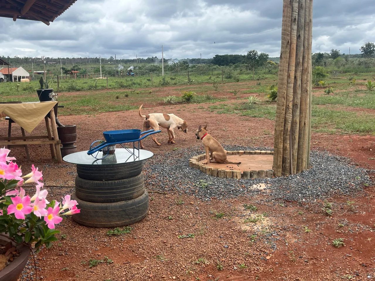 Vendo sítio 2 hectares BR 365, km 26 entrada do Canto de Engenho  - Foto 8