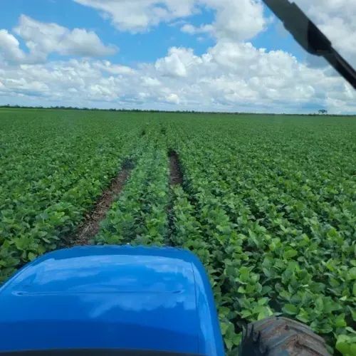 Fazenda 600 ha prox. Bom jesus PI