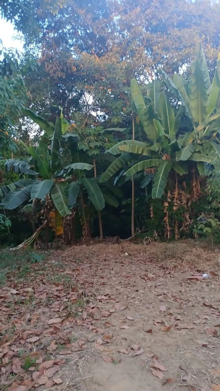Foto - Iranduba - Centro