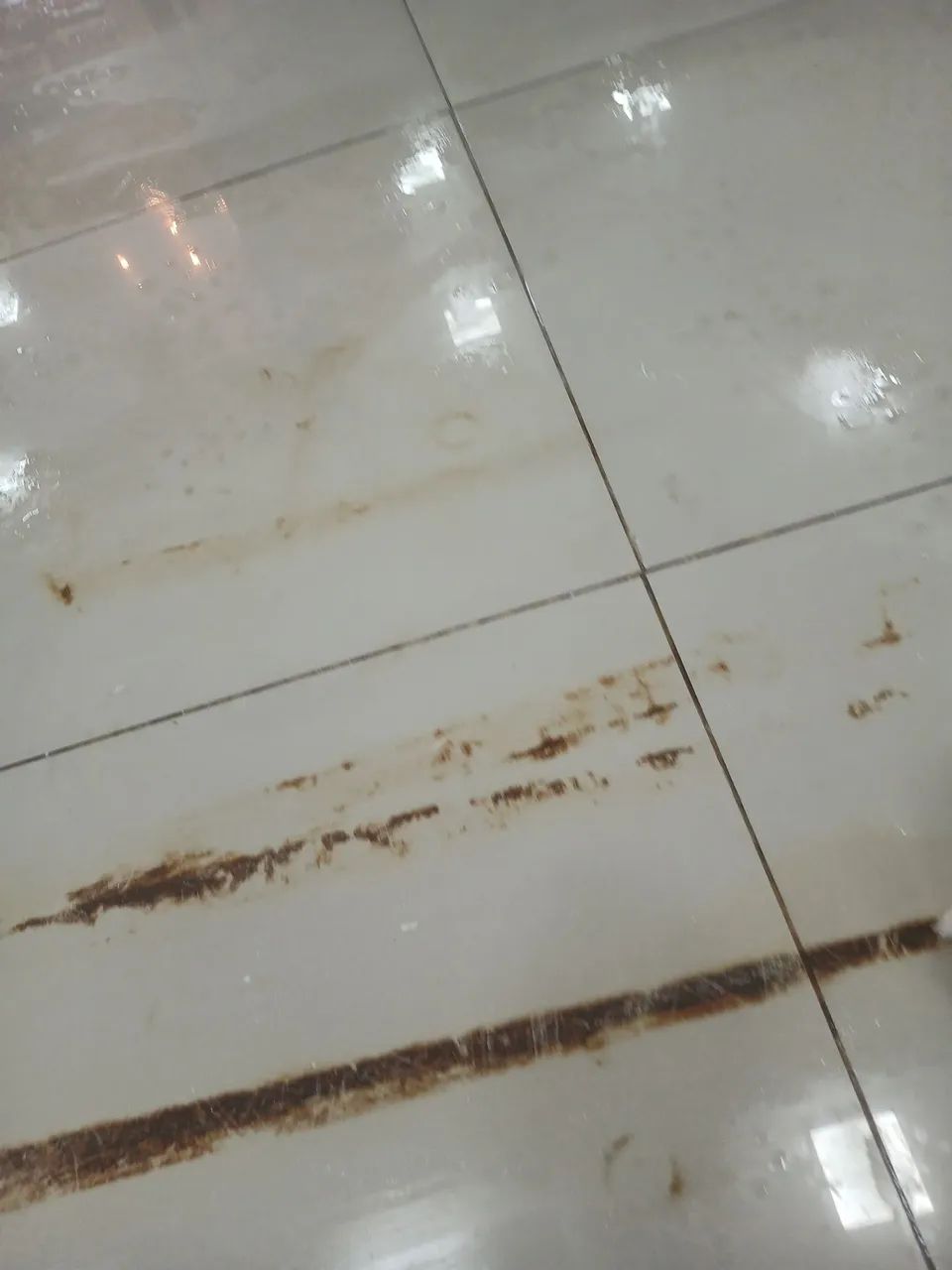 Polidor de piso de Granito