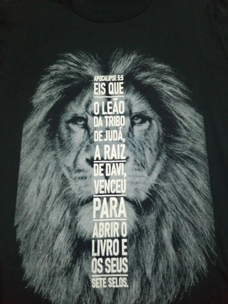 Vende-se blusa bíblica 