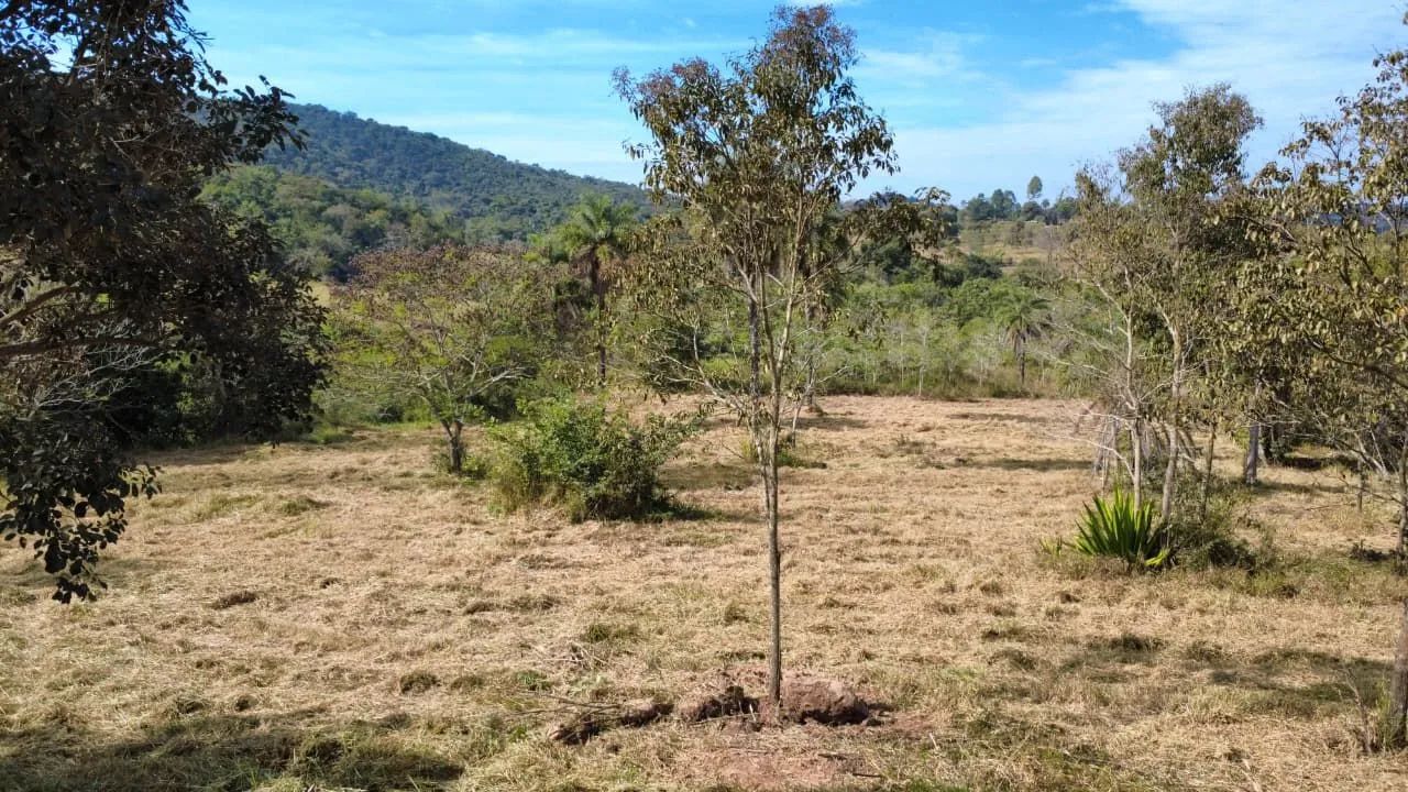 Terreno rural em nova serrana  - Foto 3