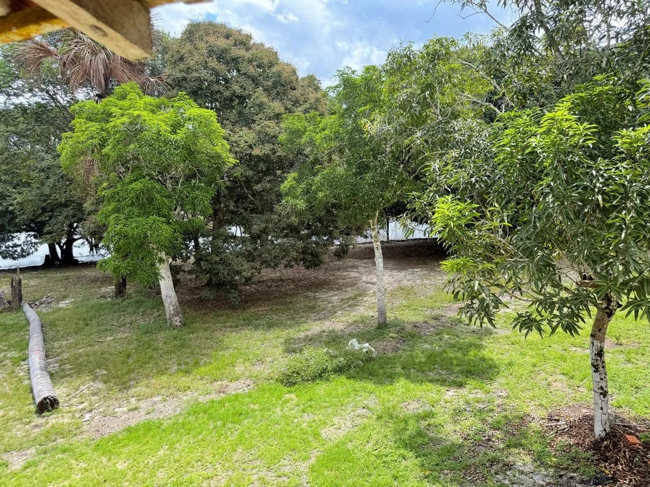 Sítio à Venda - Tarumã Mirim  - Foto 3