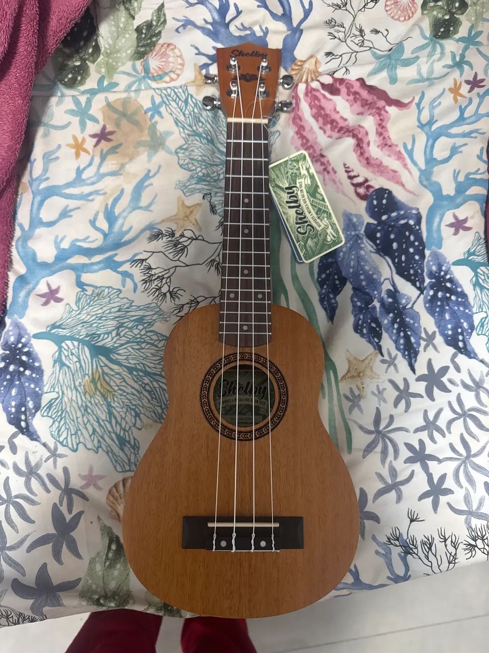 Ukulele novo