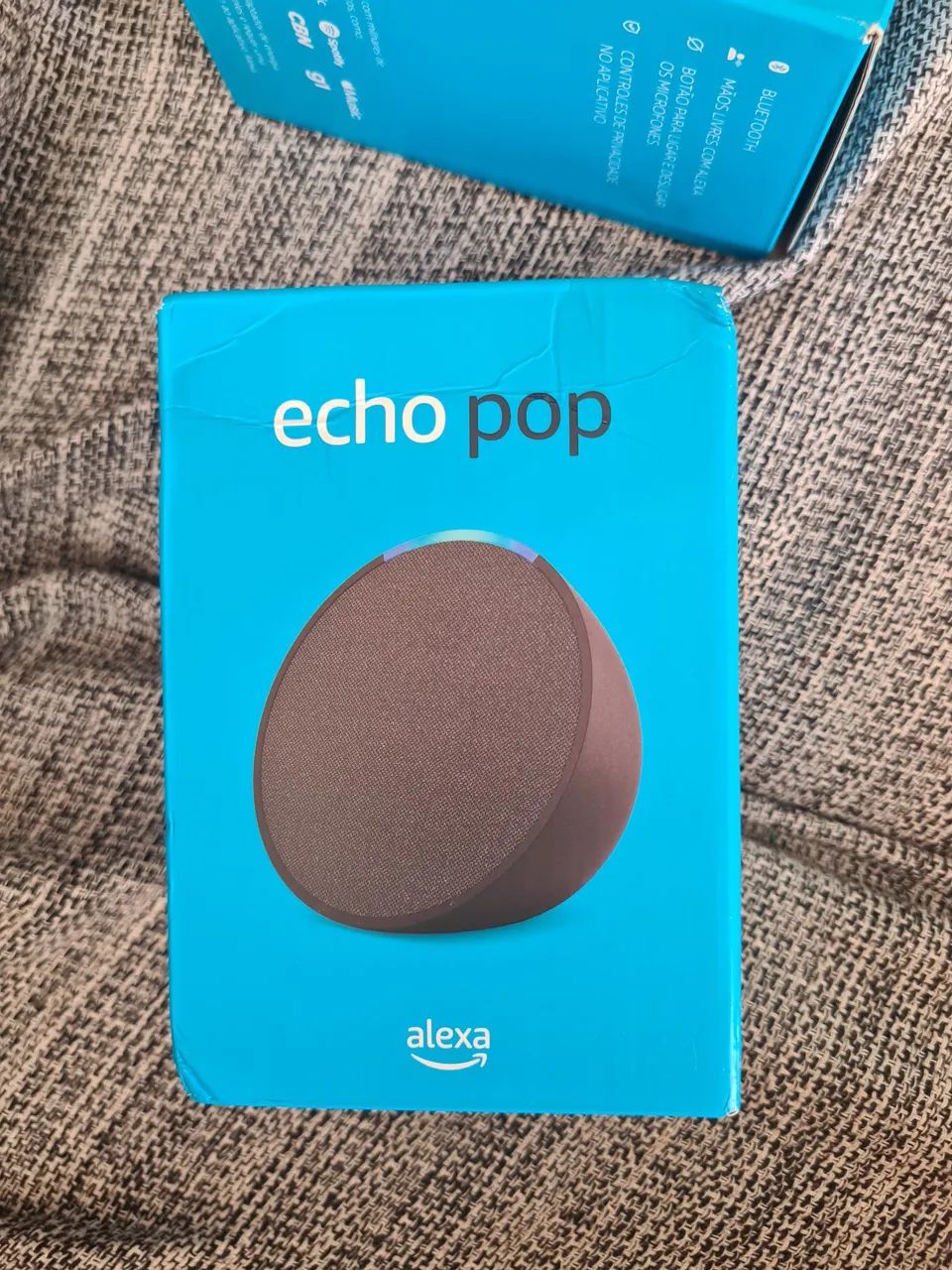 Alexa LACRADA Echo pop