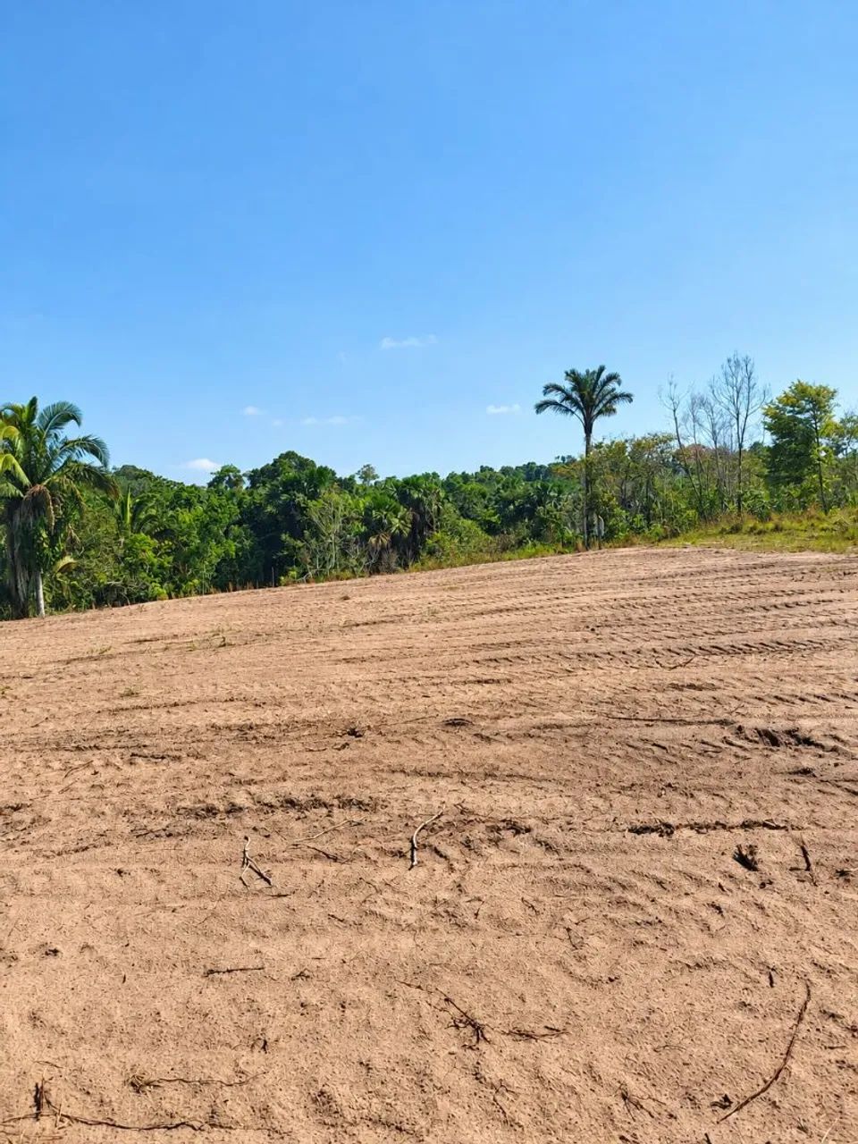 Vendo lote em Rio Preto da Eva  - Foto 2