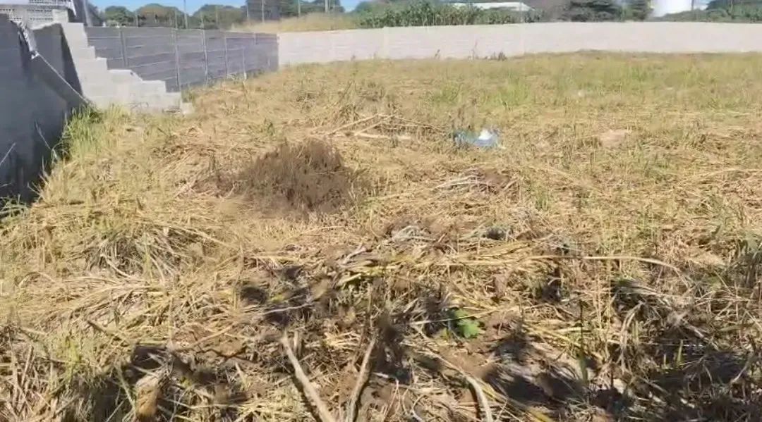 Área Comercial  2.300 m²  em Civit - Foto 2