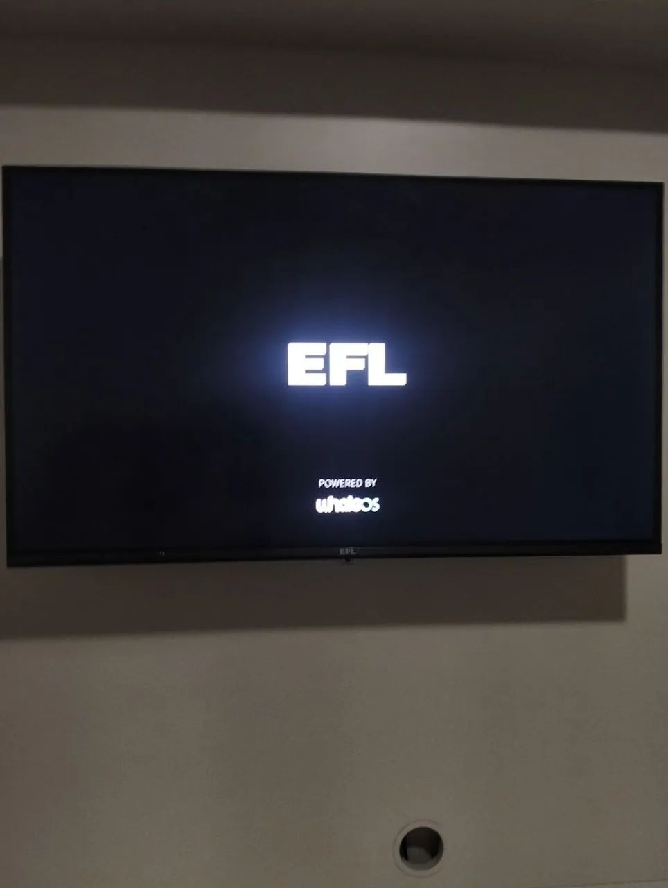 Vendo TV EFL 32 polegadas. R$ 700 