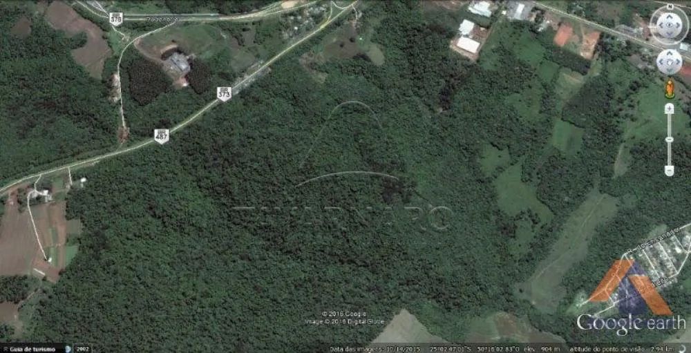 Terreno Área em Ponta Grossa - Foto 2