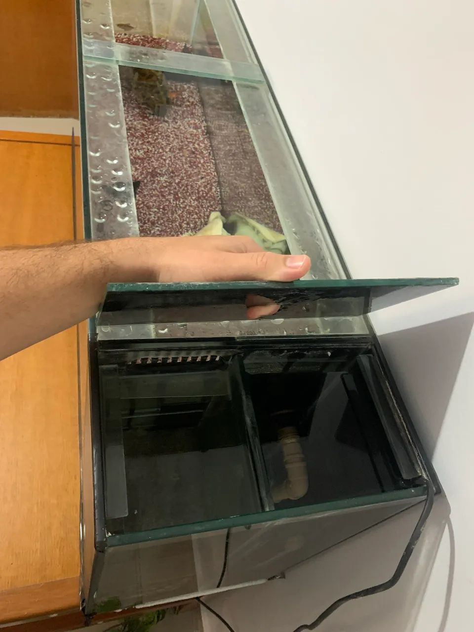 Aquário 236 Litros Funcionando - Foto 4