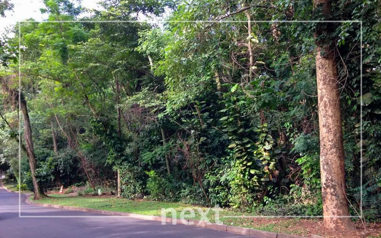 terreno - Parque Sao Quirino - Campinas - Foto 3