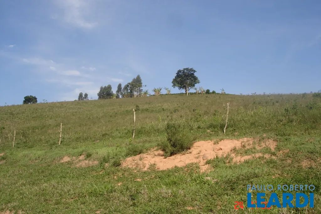 SÍTIO - CENTRO - MG - Foto 2