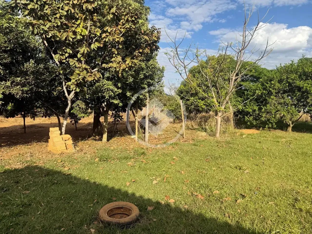 Chácara à venda em Bonfinópolis!! codigo: 371822 - Foto 5