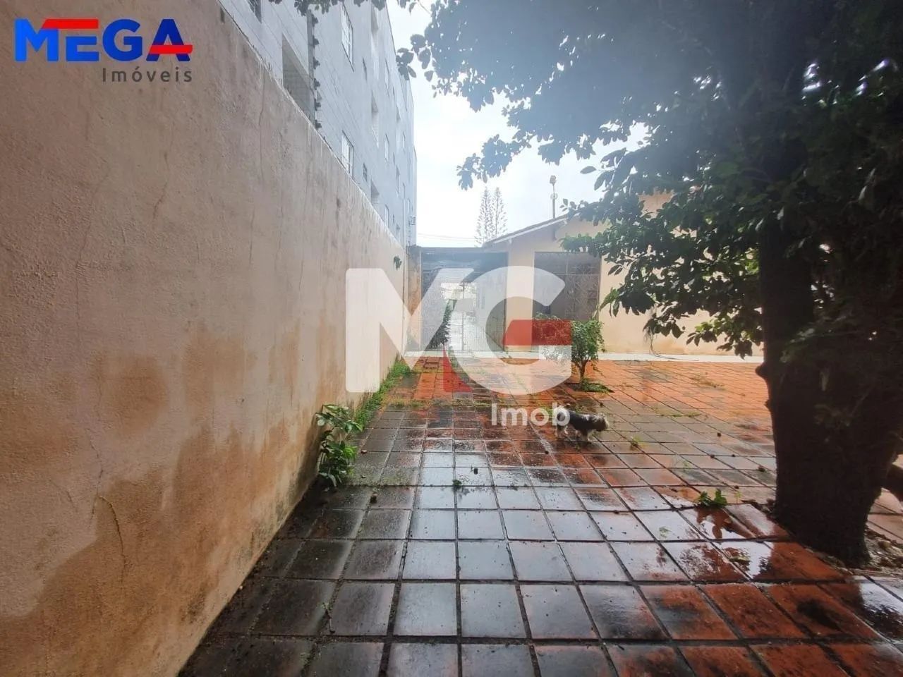 Casa em São Gerardo - Foto 4