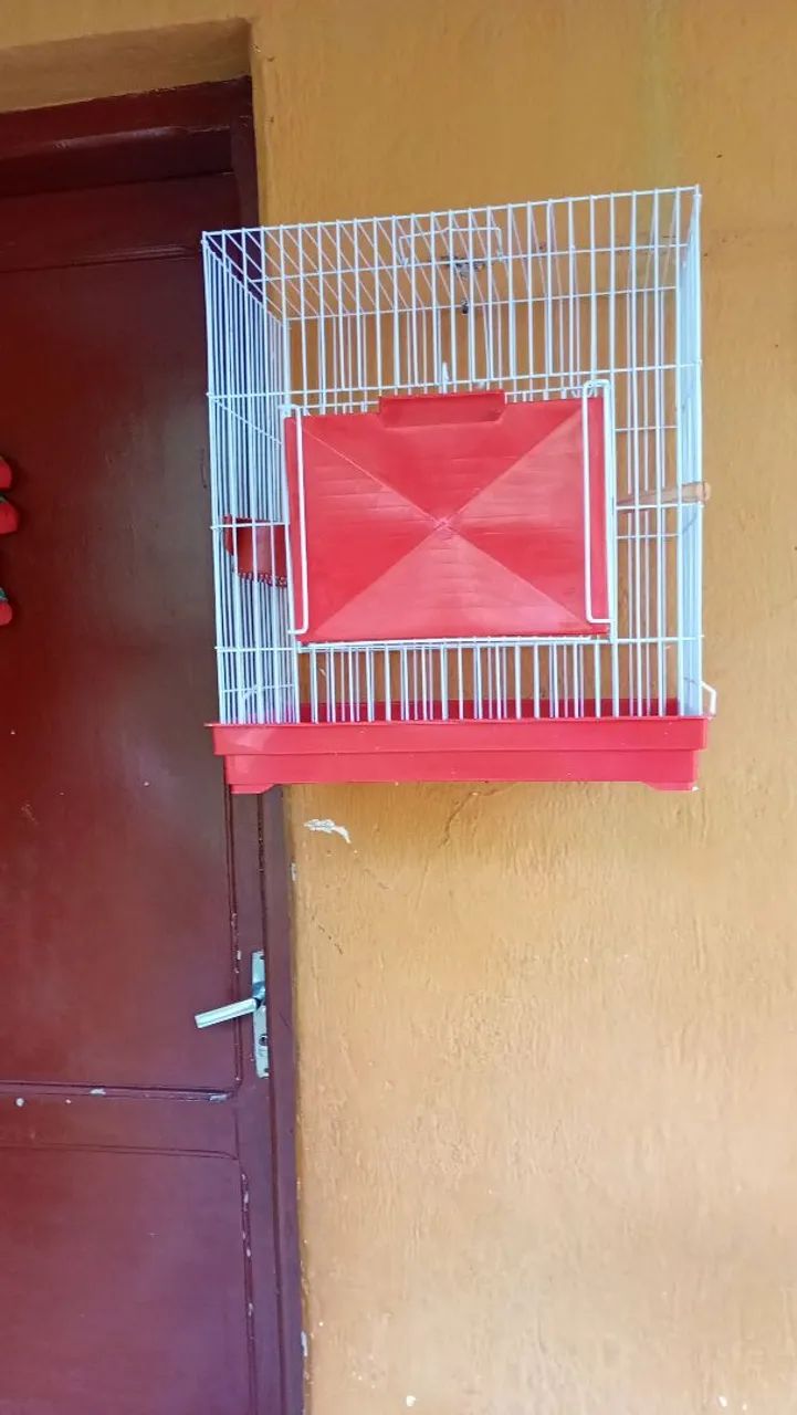 Viveiro e gaiolas - Foto 3