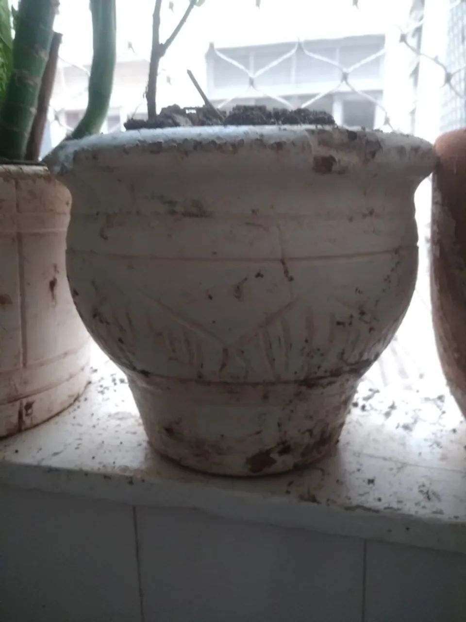 Vasos de Planta - Foto 3