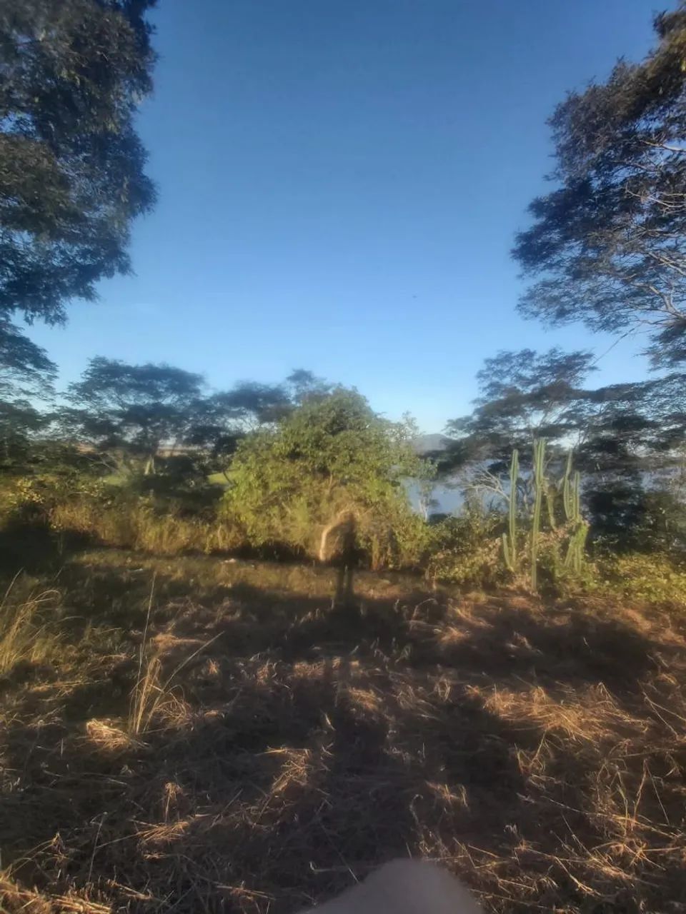Foto - Campos Dos Goytacazes - 