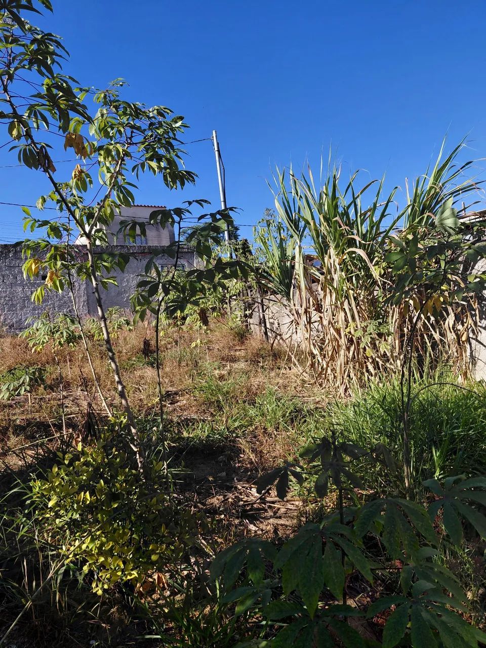 Lotes Esmeraldas (São Francisco) - Foto 3