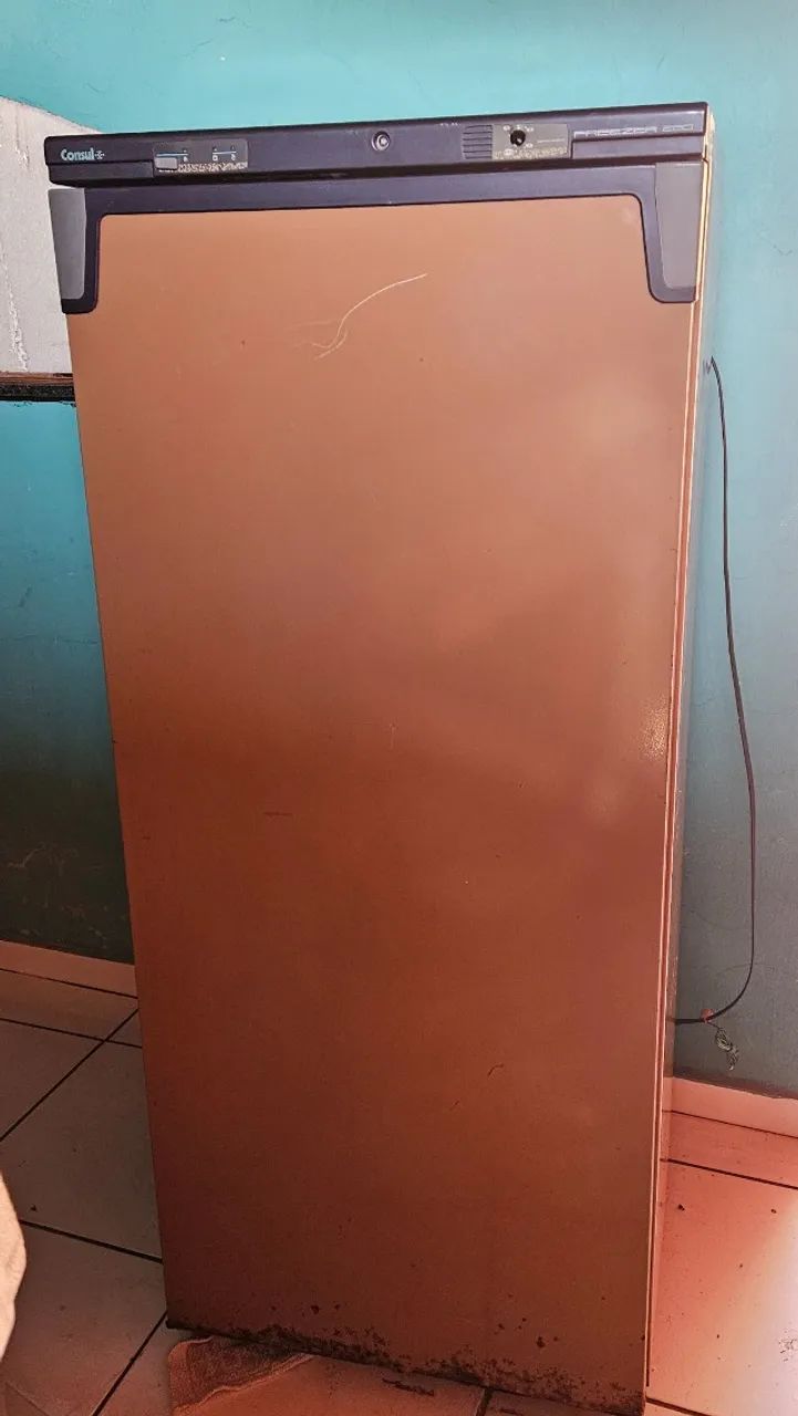 Freezer vertical Consul 110v